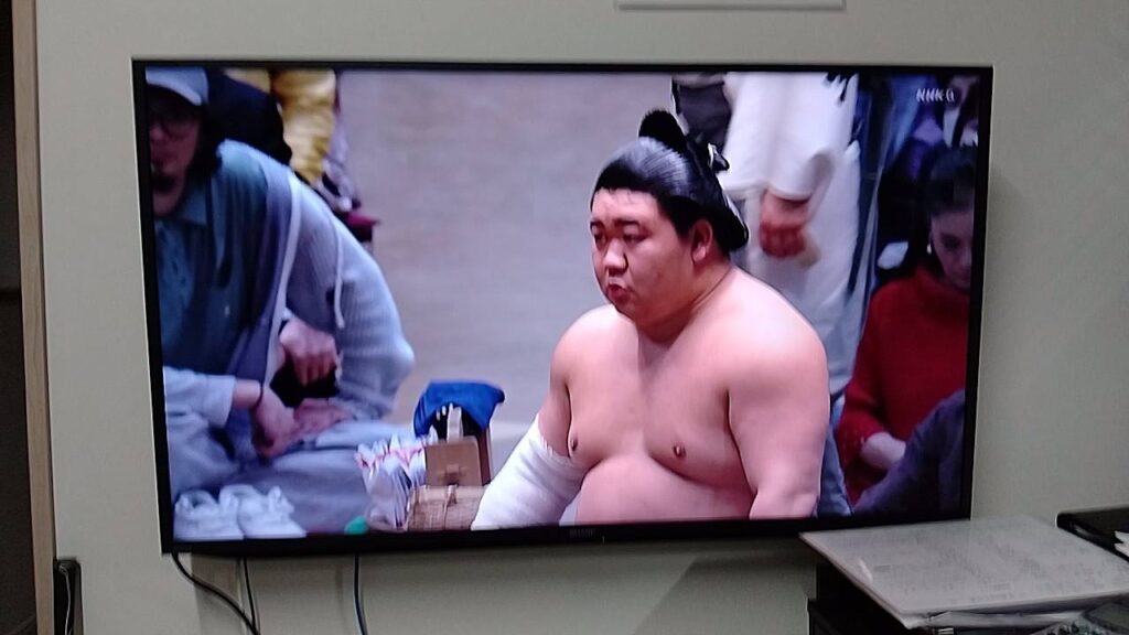 大相撲、最近、本当に面白いです、藤の川