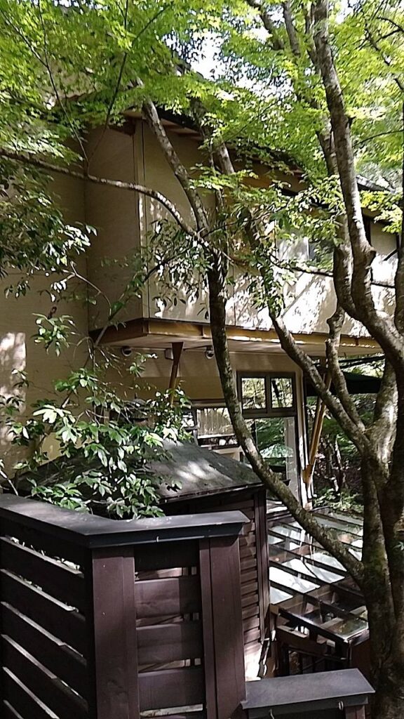 了庵